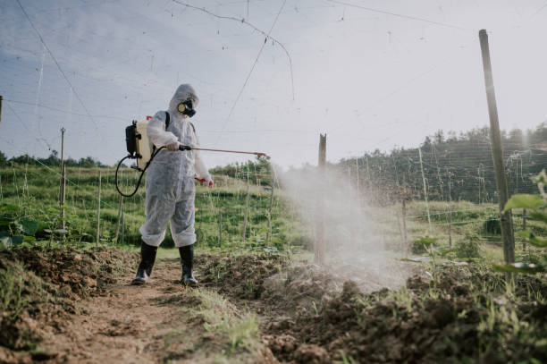 Best Commercial Pest Control Services  in Royalton, IL