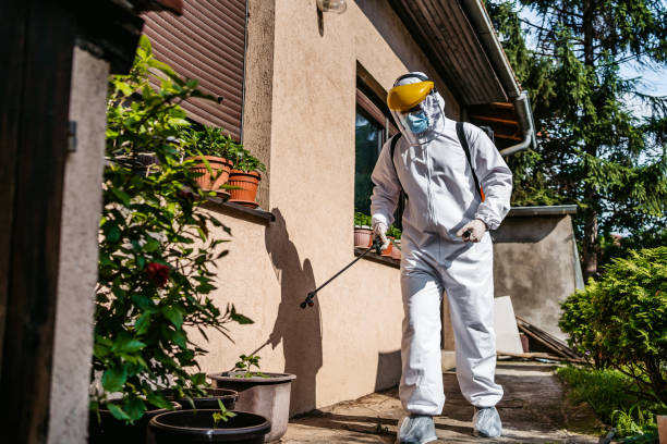 Best Insect Control  in Royalton, IL