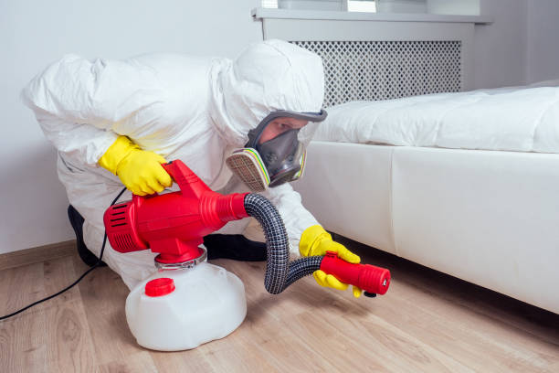 Trusted Royalton, IL Pest Control Experts