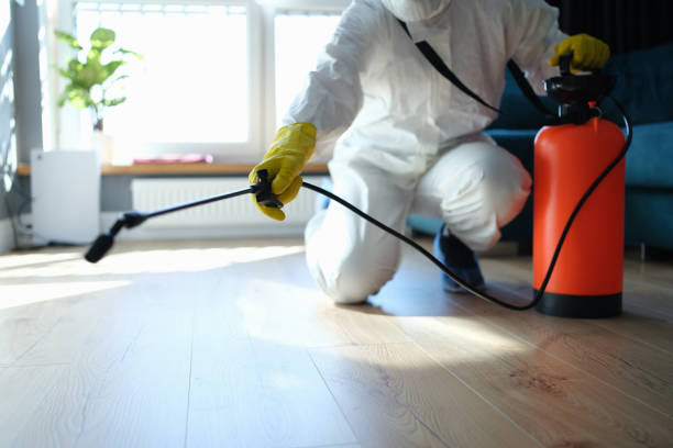 Best Best Pest Control Companies  in Royalton, IL