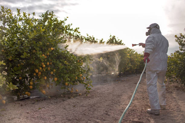 Best Cockroach Control Services  in Royalton, IL