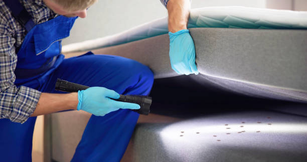 Best Bed Bug Extermination  in Royalton, IL