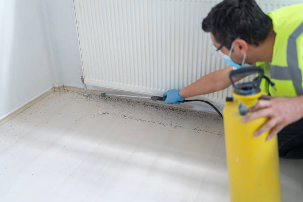Best Pest Inspection Near Me  in Royalton, IL